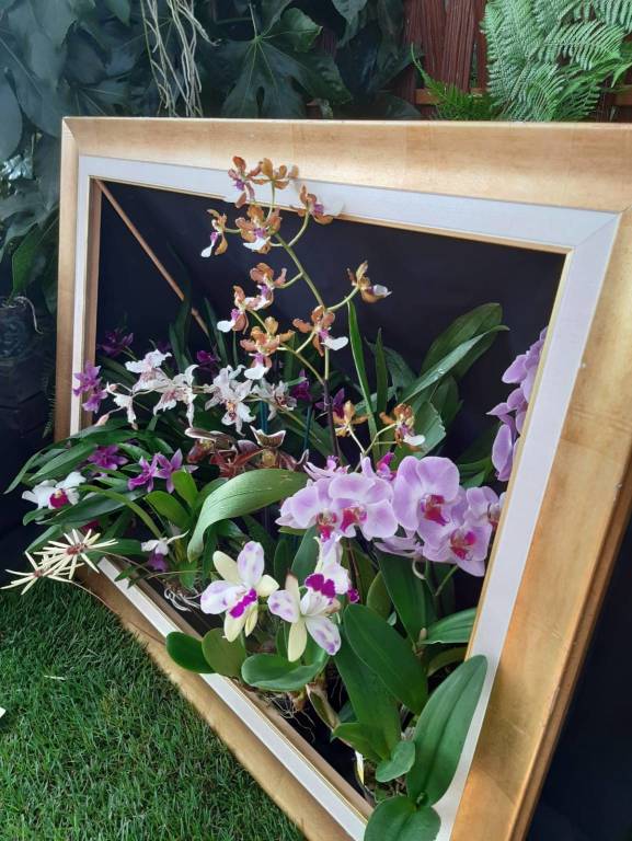 Taglio del nastro per “Varese Orchidea 2020”