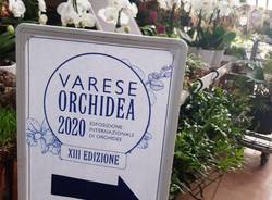 Taglio del nastro per “Varese Orchidea 2020”