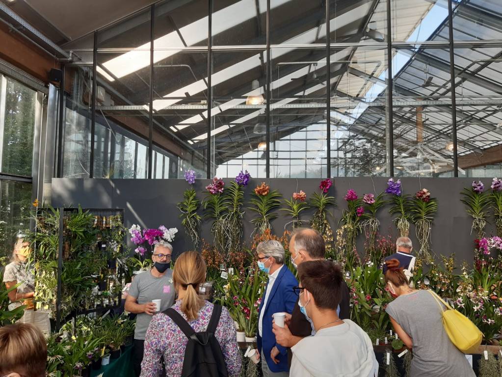 Taglio del nastro per “Varese Orchidea 2020”