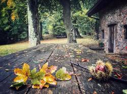 Autunno a Cuasso al Monte - foto di Andrea Betti