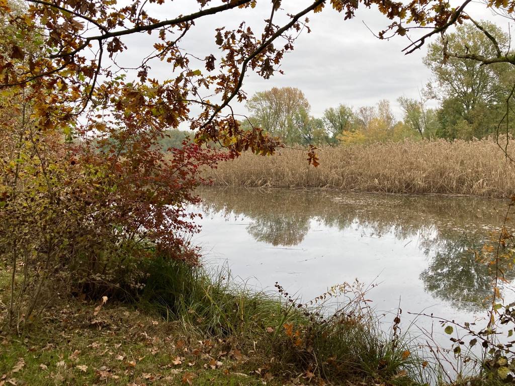 Autunno all’Oasi della Bruschera