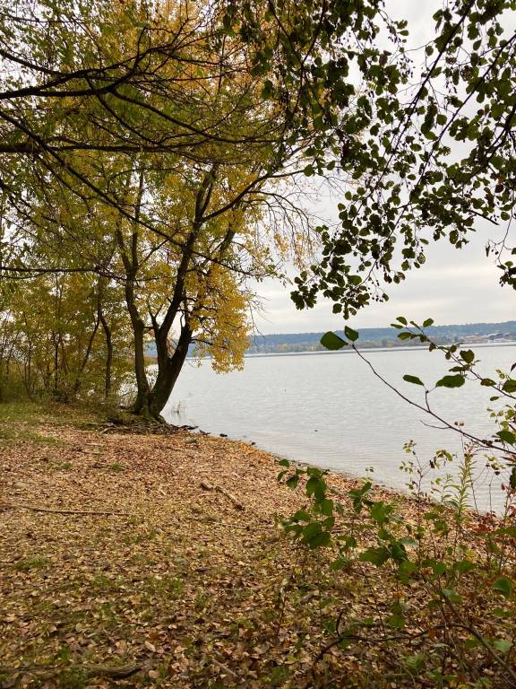 Autunno all’Oasi della Bruschera