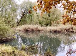Autunno all’Oasi della Bruschera