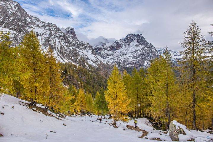 I colori dell\'autunno all\'Alpe Devero
