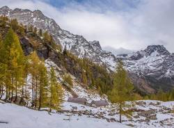 I colori dell\'autunno all\'Alpe Devero