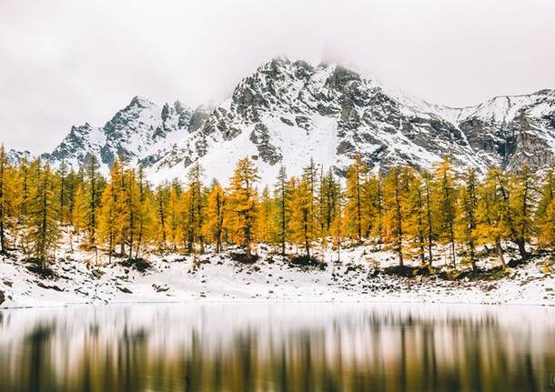 I colori dell\'autunno all\'Alpe Devero