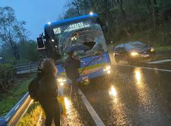 incidente pullman studenti con cervo