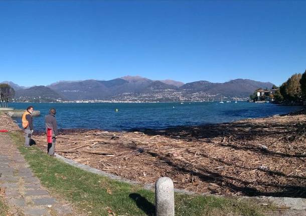 Cerro di Laveno Mombello, tronchi sulla spiaggia