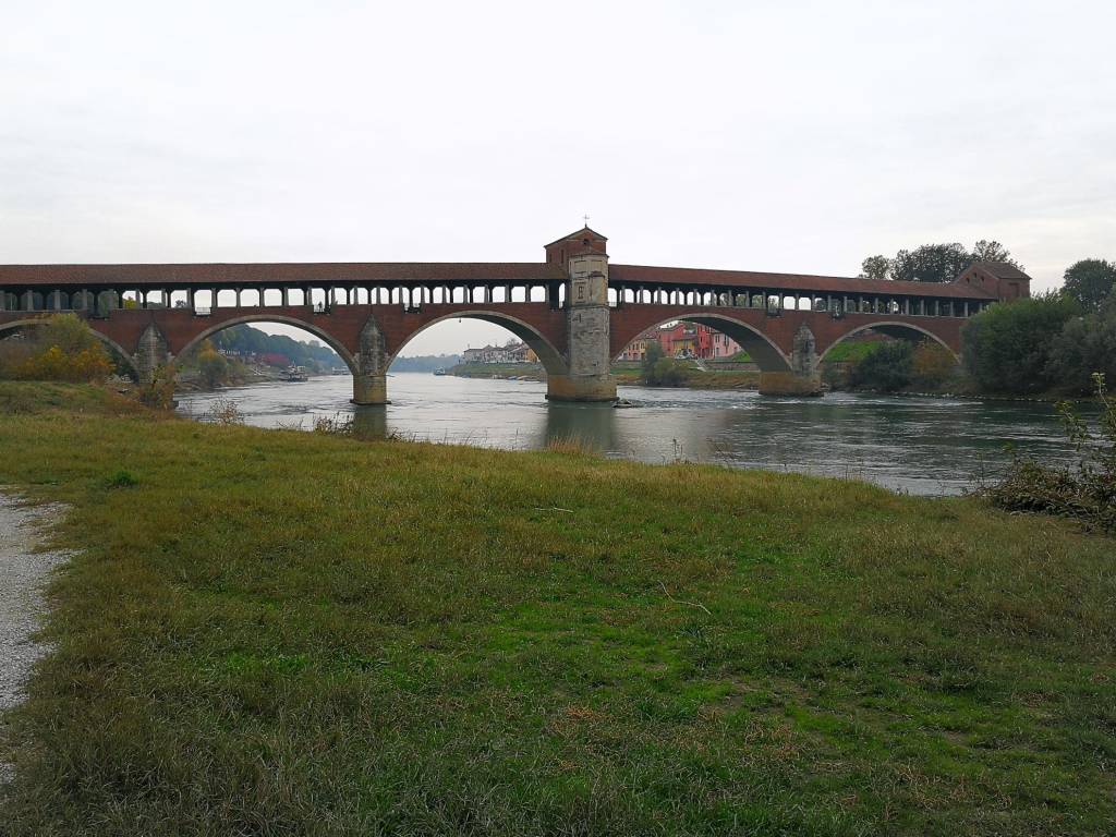 Diario di Viaggio: l'arrivo a Pavia (meta conclusiva della Francisca) di Puggioni