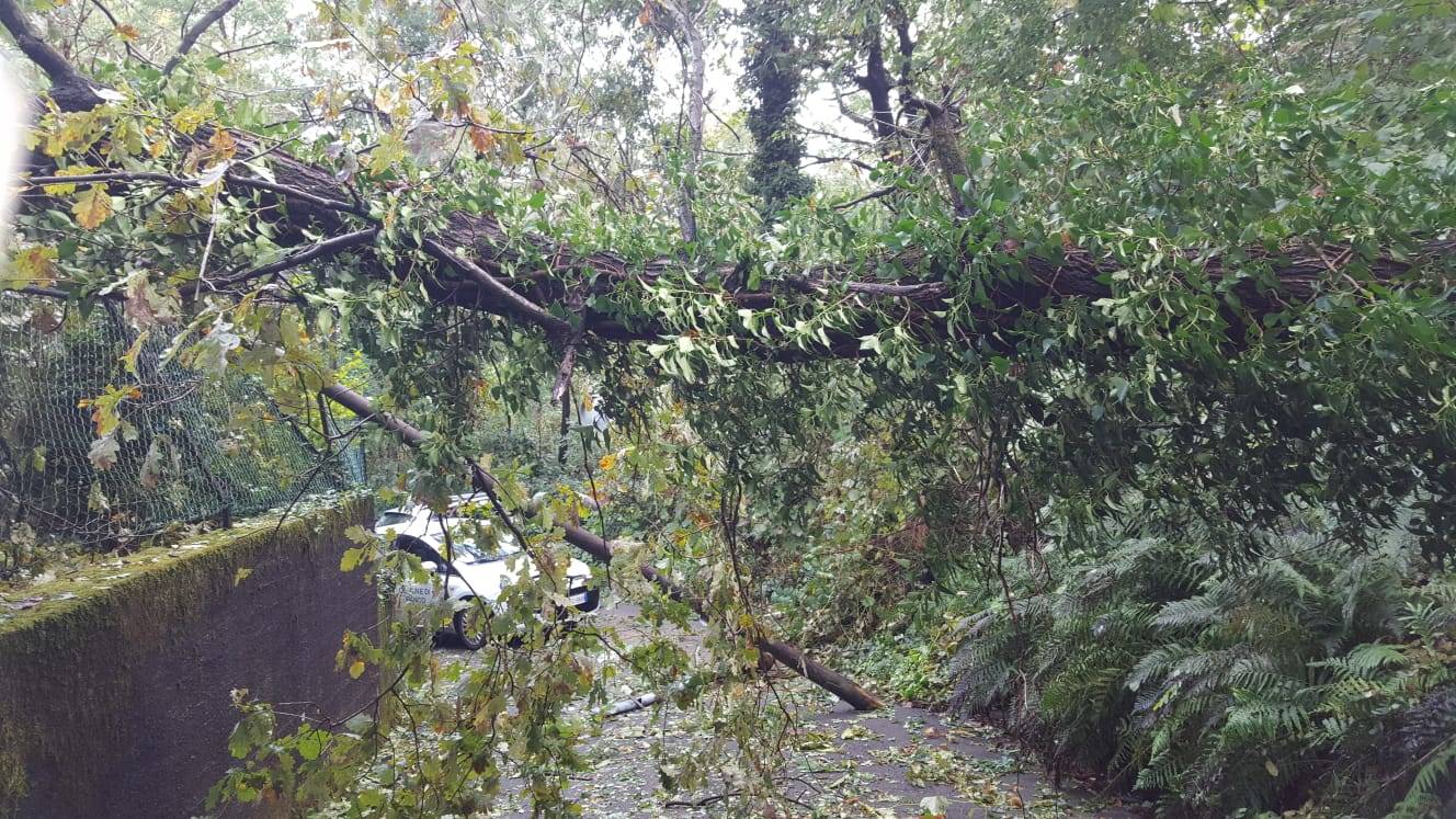 Maltempo nel Basso Verbano 