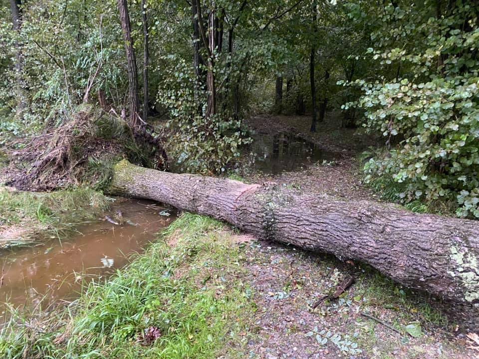 Maltempo nel Basso Verbano 