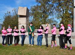 Pink Ambassador - taino