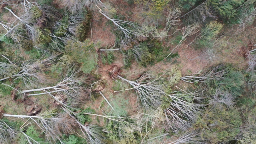 Vararo Casere 6 ottobre 2020