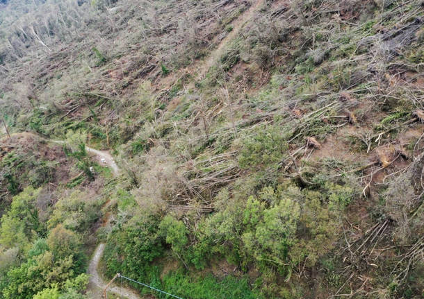 Nelle zone colpite dalla tempesta