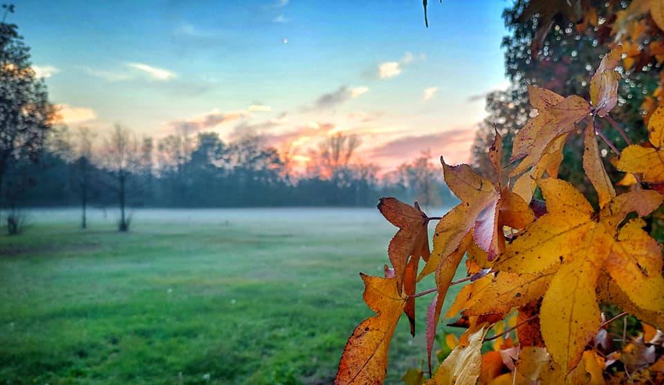 autunno - emanuele santagostino