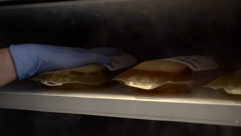 La ricerca sul Plasma Iperimmune a Varese