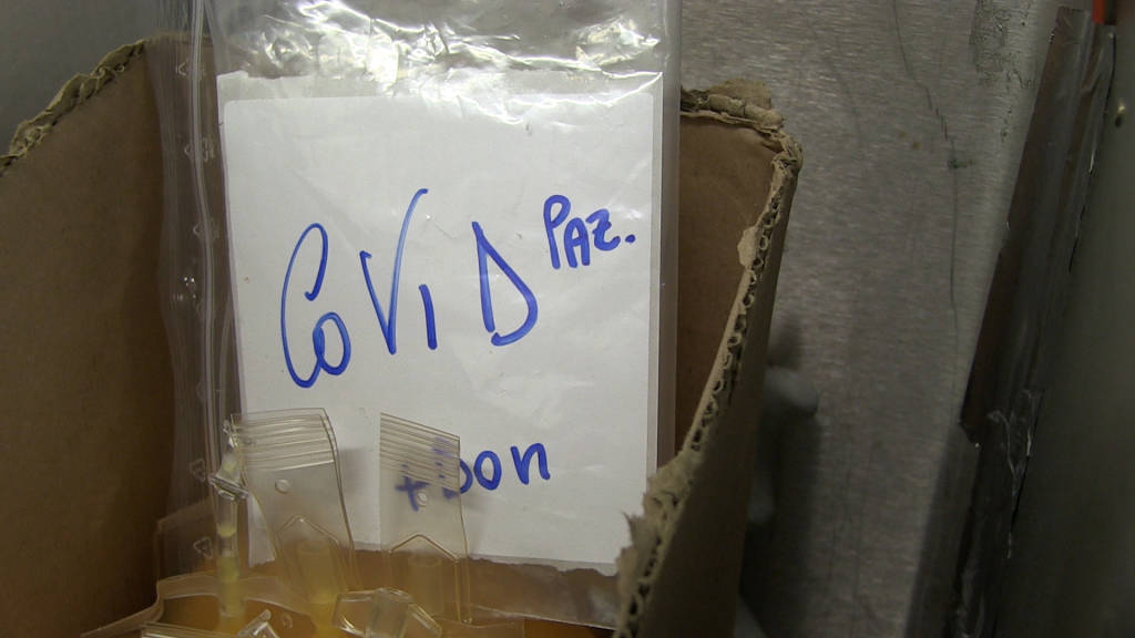 La ricerca sul Plasma Iperimmune a Varese