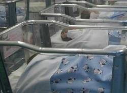 ospedale Del Ponte - culle