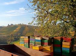 Wine tour tra i vigneti del Roero