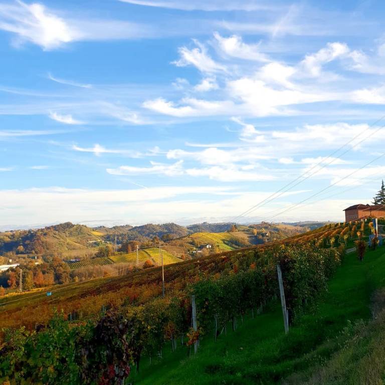Wine tour tra i vigneti del Roero