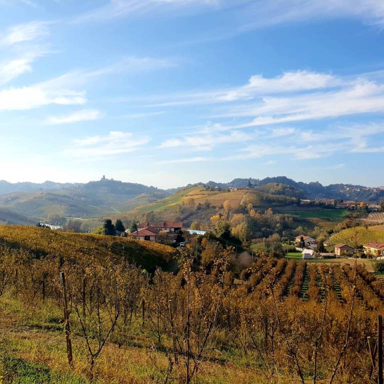 Wine tour tra i vigneti del Roero