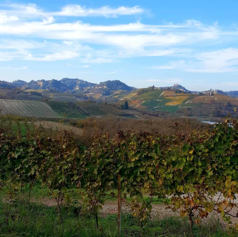 Wine tour tra i vigneti del Roero