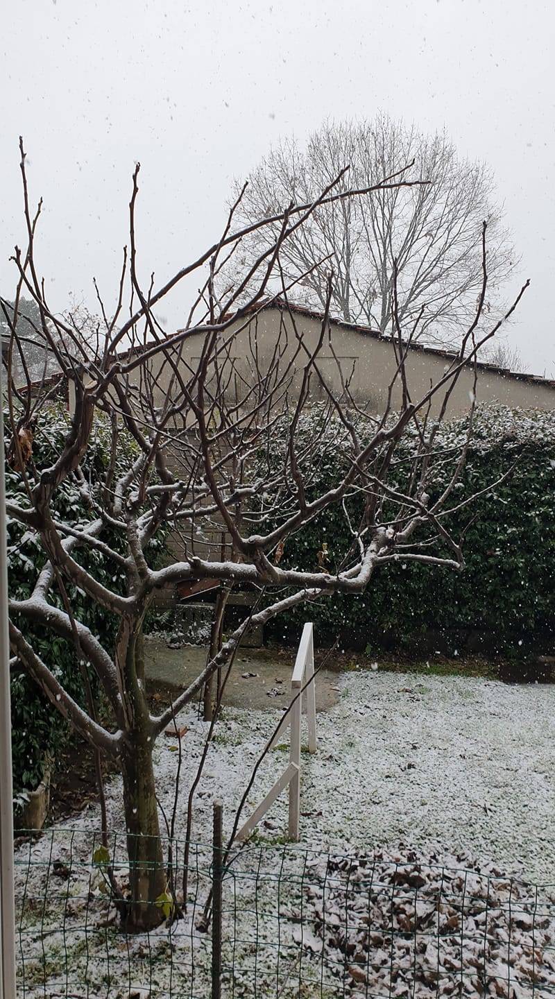 Basso Varesotto imbiancato dalla prima neve