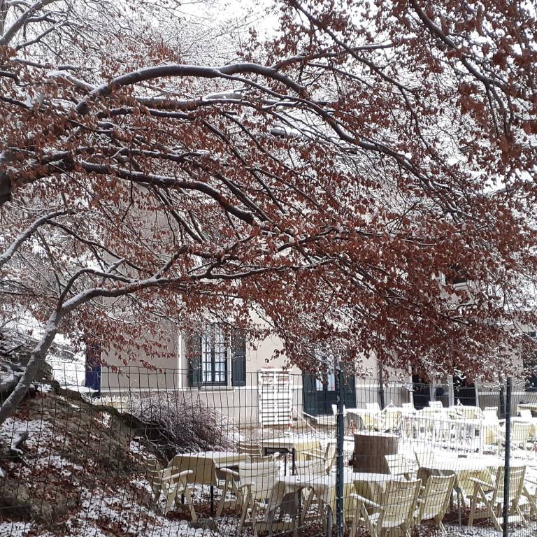 Basso Varesotto imbiancato dalla prima neve