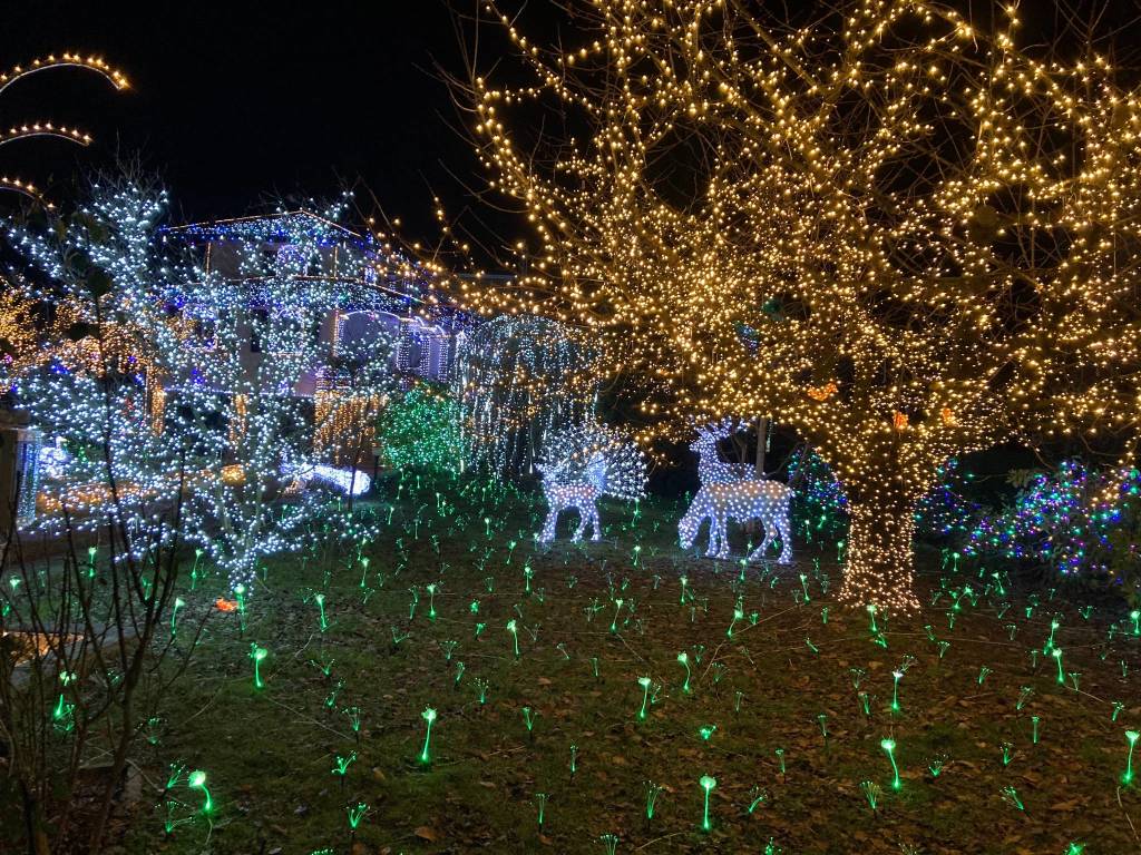 La casa illuminata del Signor Lino Betti a Leggiuno 