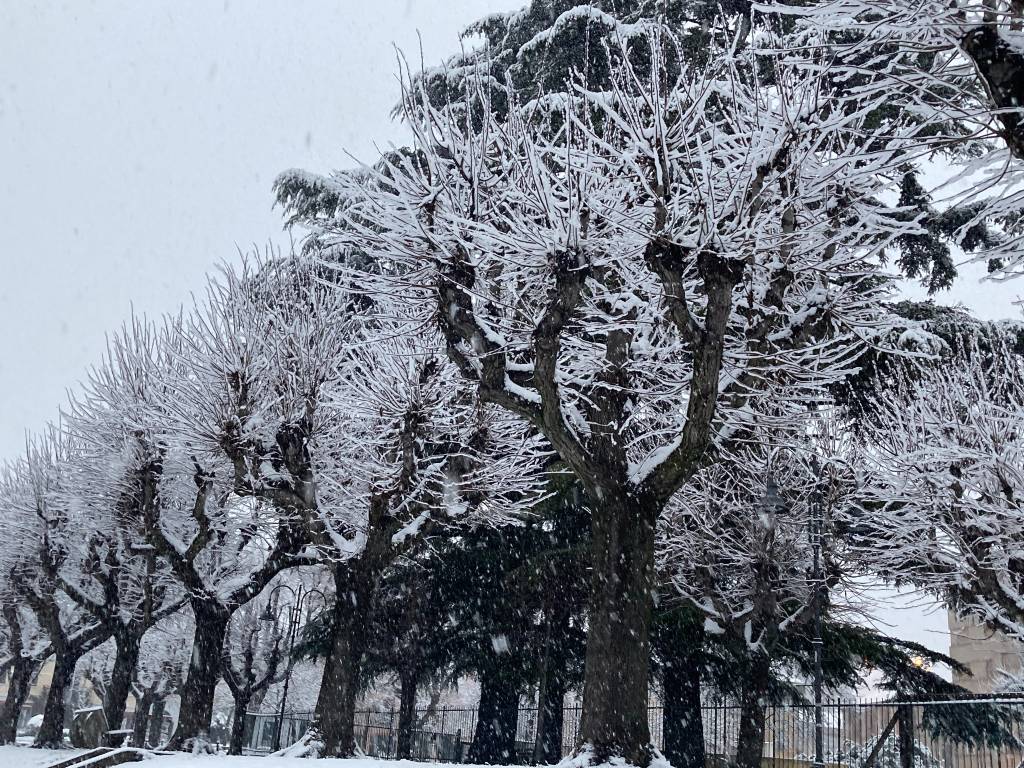 Neve angera