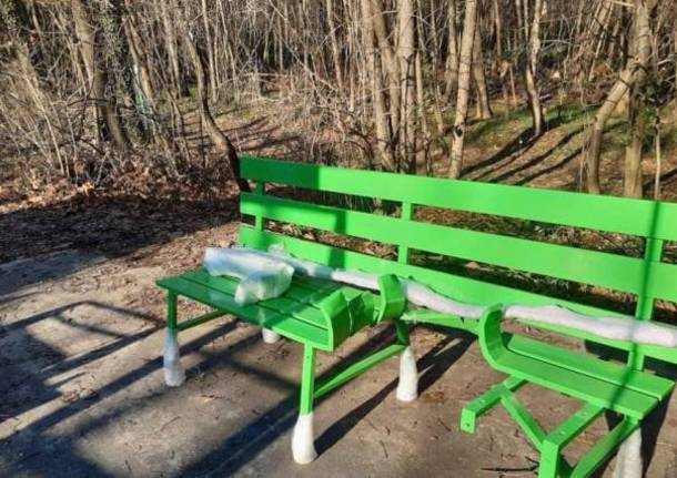 erica mosca samarate