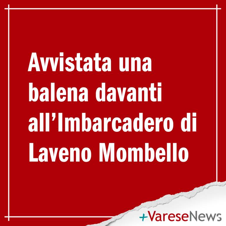 fake news