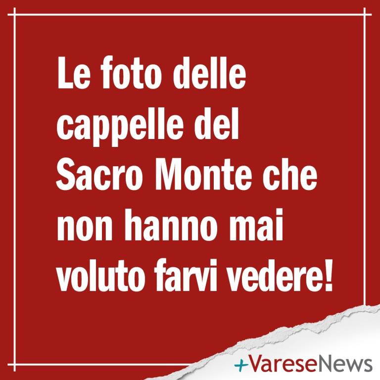 fake news