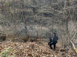 carabinieri vco bosco