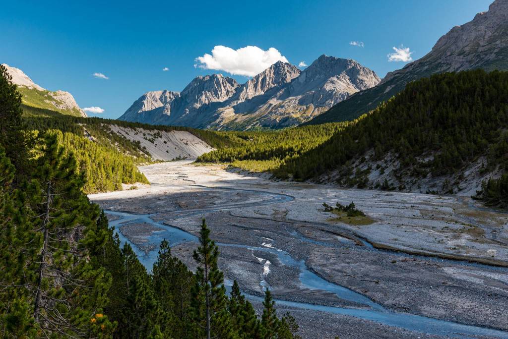 Fotografare il parco, i vincitori