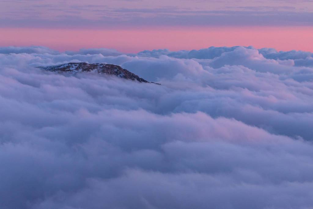 Fotografare il parco, i vincitori