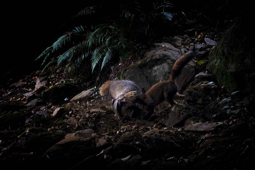 Fotografare il parco, i vincitori