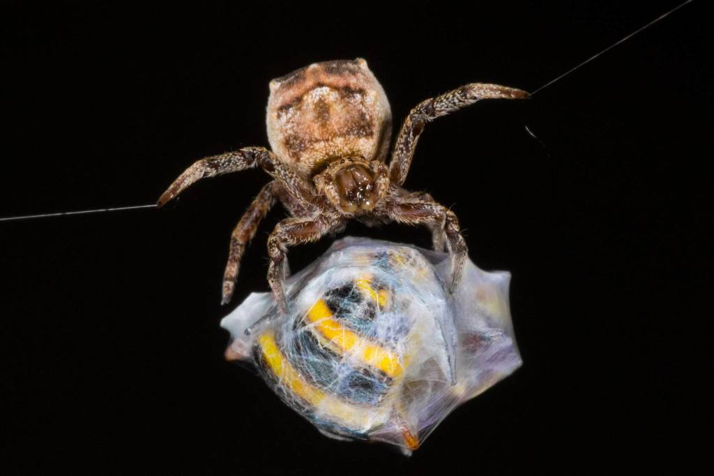 Fotografare il parco, i vincitori