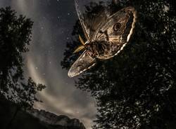 Fotografare il parco, i vincitori