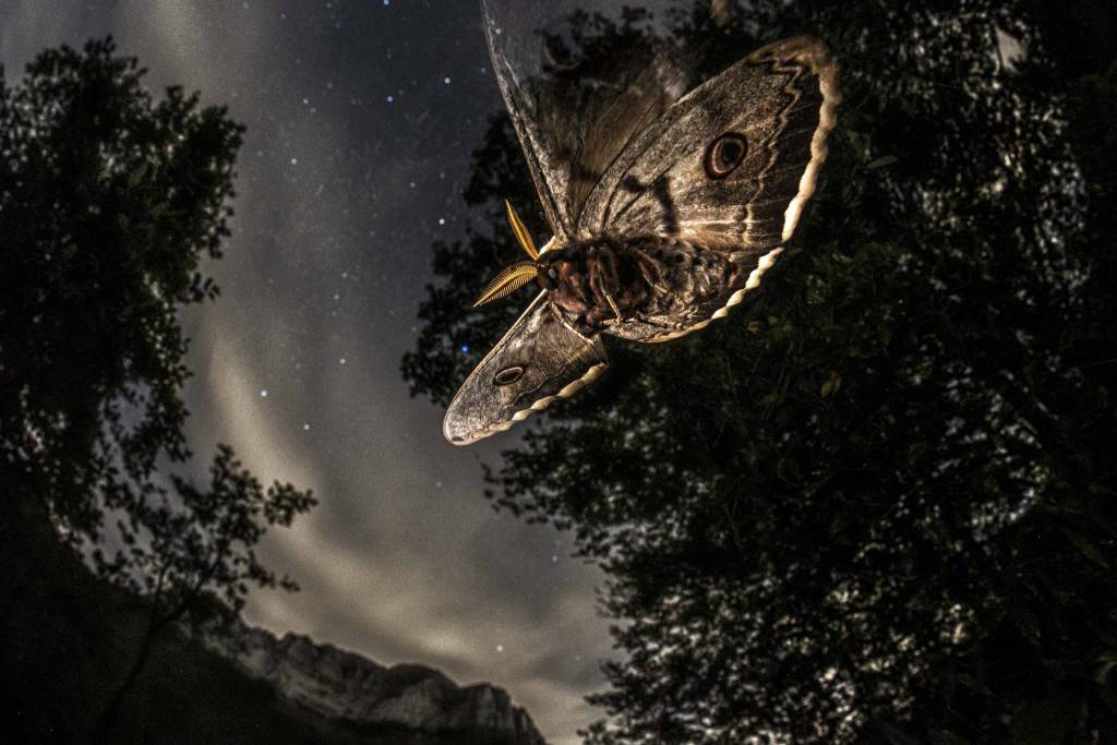 Fotografare il parco, i vincitori