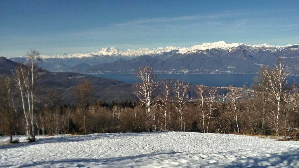 Pecore, tramonti e laghi. La natura nelle foto dei lettori