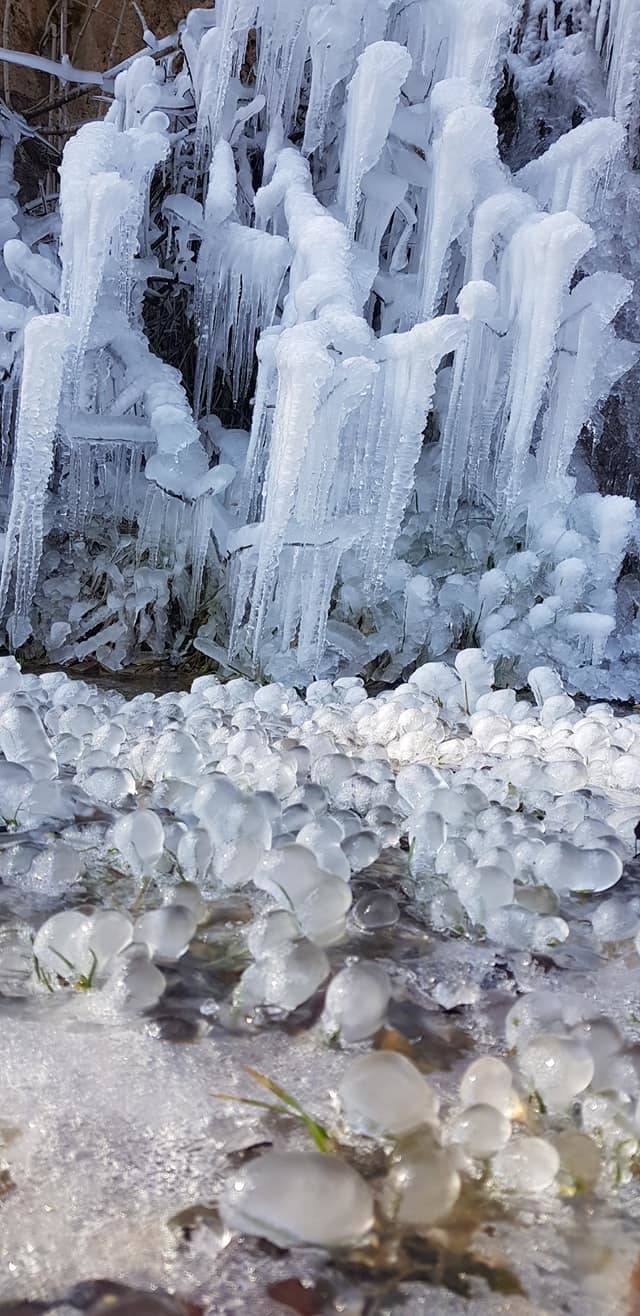 Pecore, tramonti e laghi. La natura nelle foto dei lettori