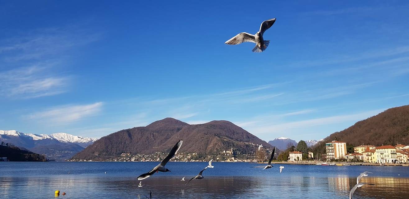 Pecore, tramonti e laghi. La natura nelle foto dei lettori