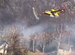 canadair ornavasso