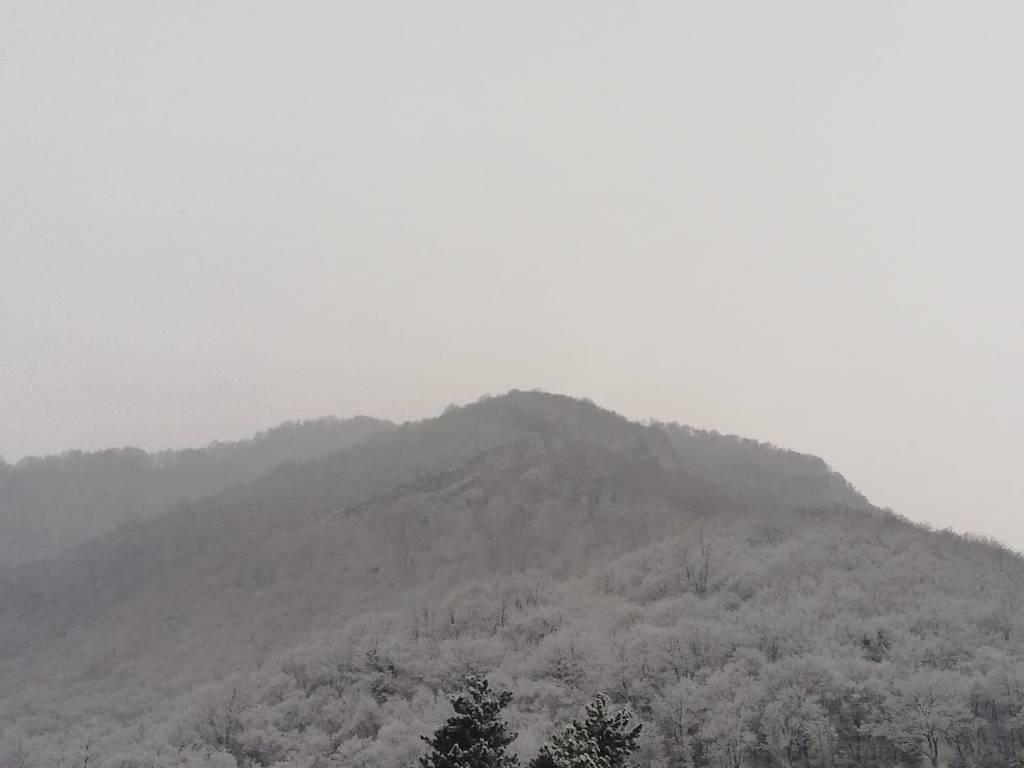 Nevicata 19 marzo 2021