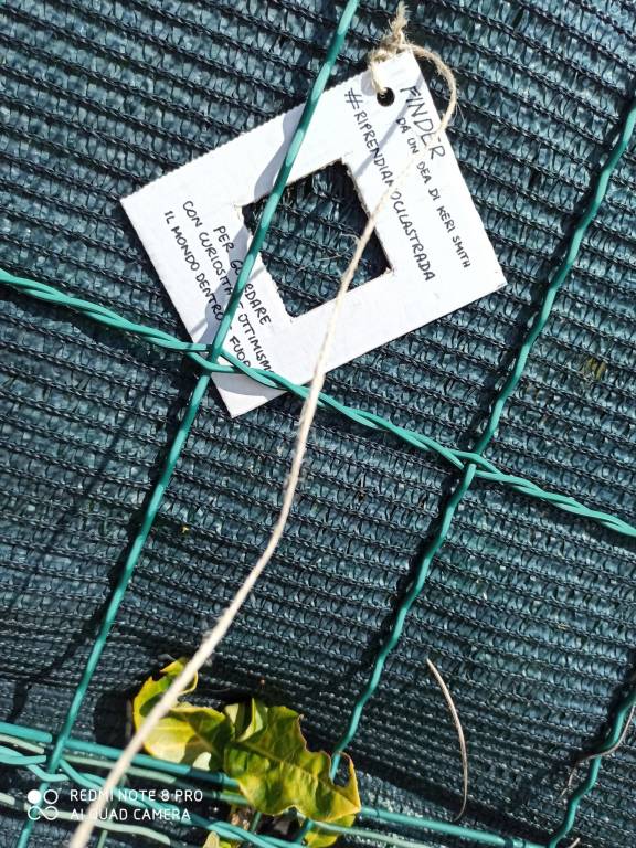 A Maccagno il museo delle piccole cose