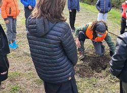 Ad Azzio si pianta la sostenibilità