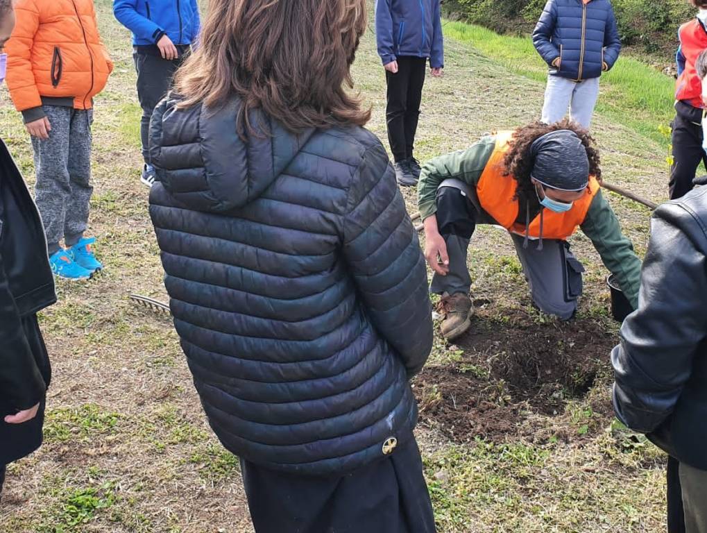 Ad Azzio si pianta la sostenibilità