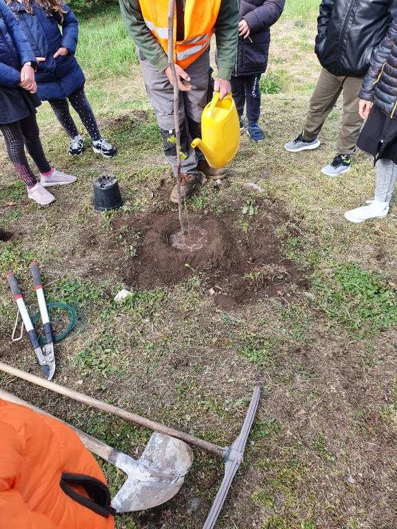 Ad Azzio si pianta la sostenibilità