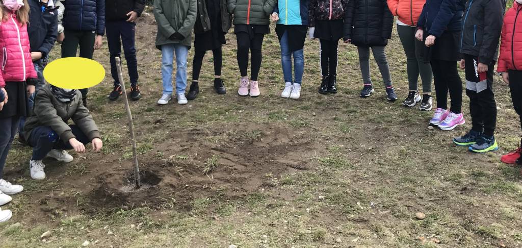 Ad Azzio si pianta la sostenibilità